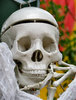 medical model2