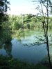 lake and trees