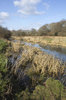 River shallows