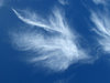 sky spirits4