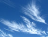 sky spirits6