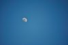 The Moon