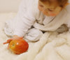 Alice - apple