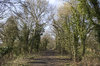 Cycle track, disused railway