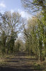 Cycle track, disused railway