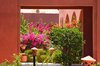 Garden in frame
