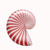 Ammonite 2