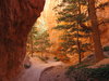 Bryce Canyon