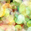 Bubble Explosion 2