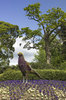 Flower bird