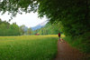 walking in bavaria