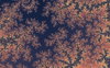 Fractal Tapestry