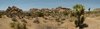 Panorama Joshua Tree Nat. Park