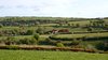 Fields