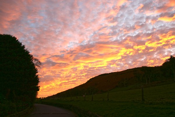 Dawn sky: Dawn colours in Devon, England.
