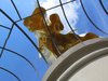 golden statue Berlin