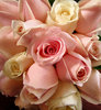 rose bouquet5