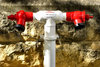 double-headed fire hydrant