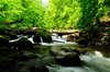 Mountain River with sunlight