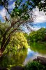 St. Stephen's Green - HDR