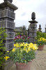 Artistic garden