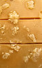 caramel slices2