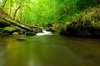 Emerald River