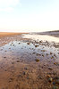 Coastal stream