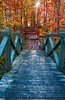 Bridge to Fall