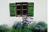 old window