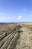 Moorland walkers