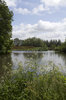 Riverside vegetation