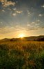 Sunset with rays & green field