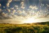 Green Field and Light Rays