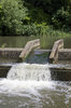 Water aeration