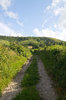 Green hills
