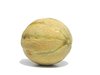 cantaloupe