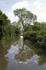 Quiet river