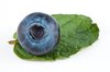 Blueberry & Mint