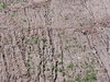Water marks