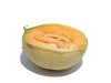 cantaloupe