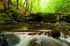Mountain River, Downstream