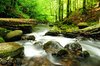 Mountain River, Downstream