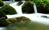 Mountain River, Downstream