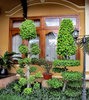 garden greenery3