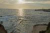 ocean