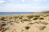 Beach like a desert