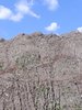 Hills