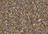 pebbled path1