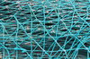 Network